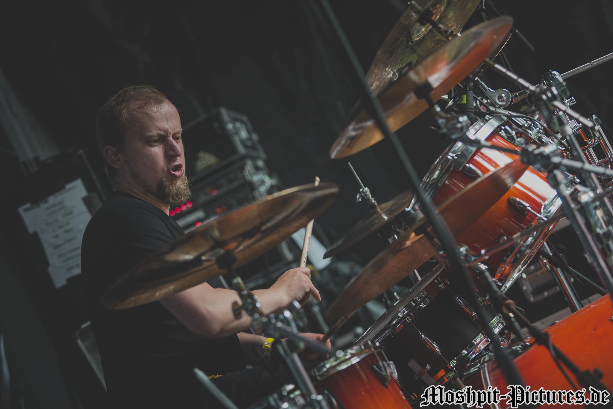 Rage-Against-Racism-2017-Victorius-239