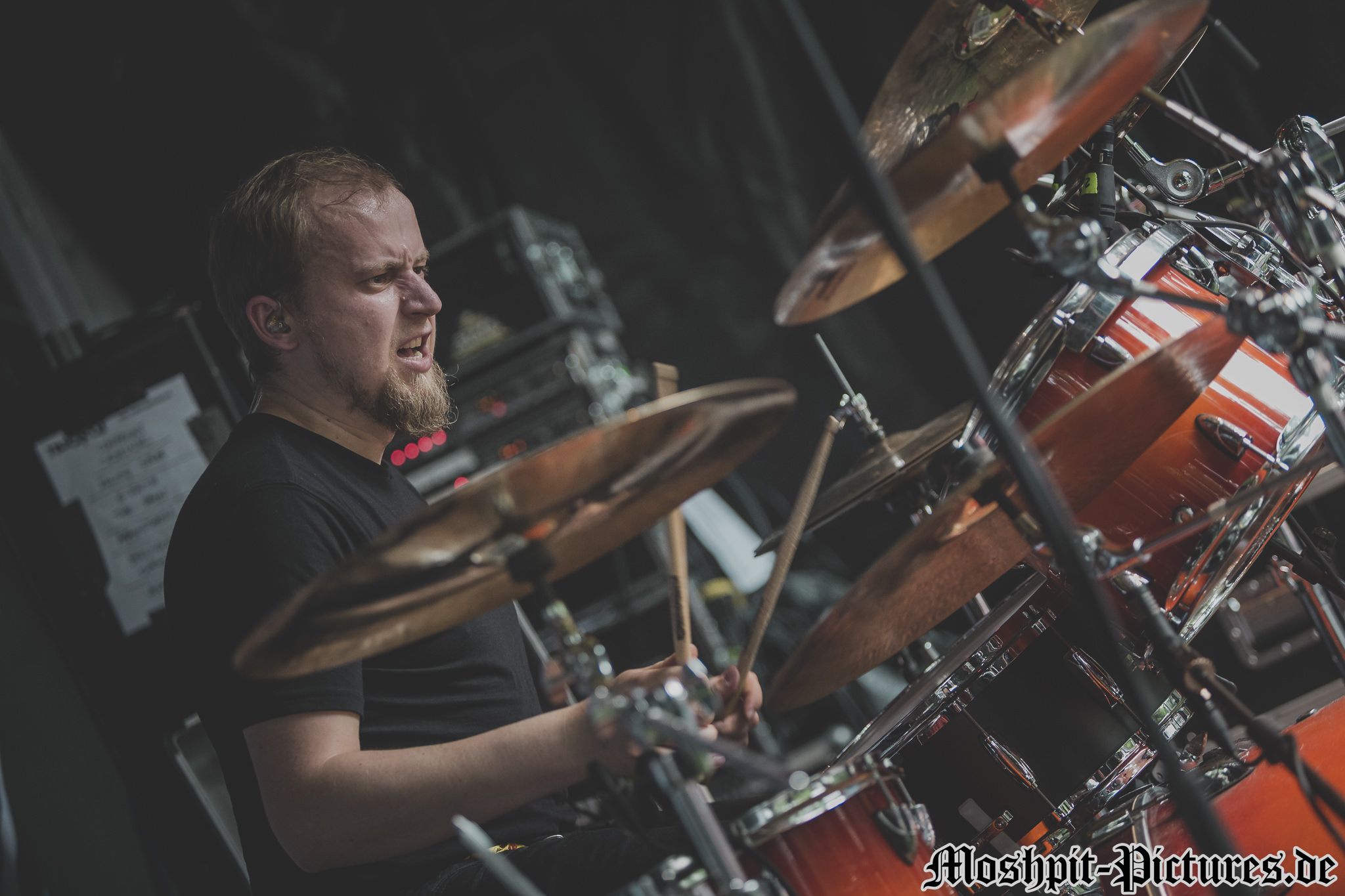 Rage-Against-Racism-2017-Victorius-245